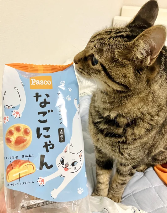 みんなー!!!なごにゃん買えた👏👏👏ありがとうウエルシア👏👏👏 