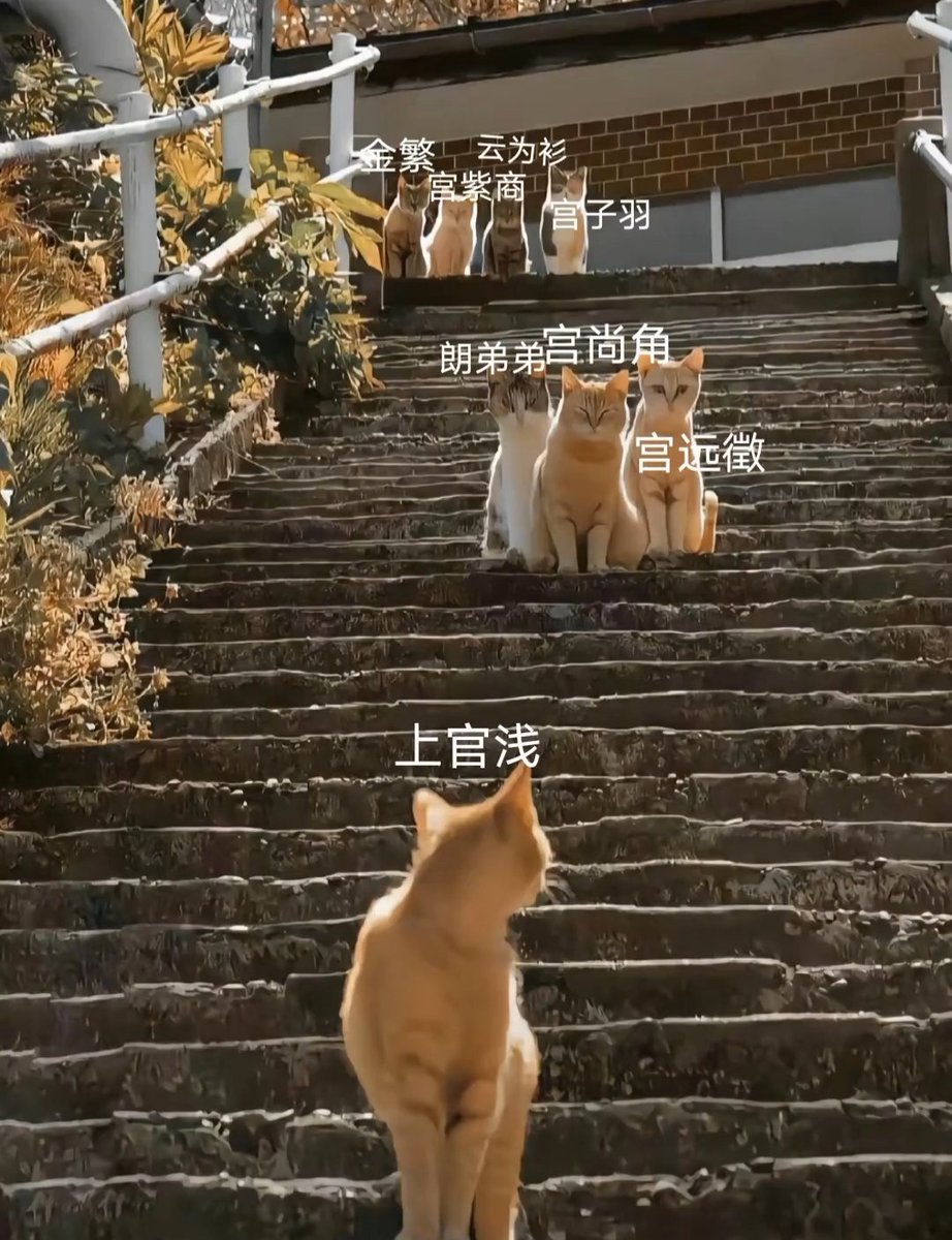 tryyourbest111's tweet photo. ���死我了算了 https://t.co/NSTYuSXkBg