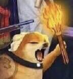 🇲🇽🇲🇽🇲🇽VIVA MÉXICO 🇲🇽🇲🇽🇲🇽

#15DeSeptiembre