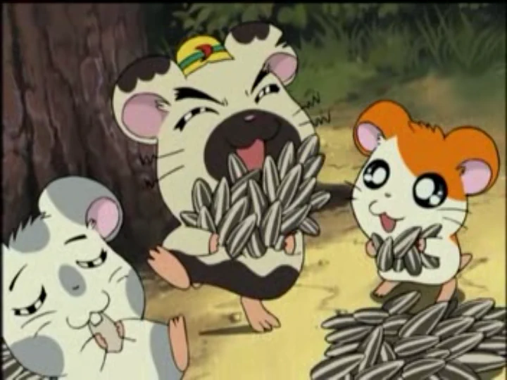 ハム太郎 Hamtaro・ハム太郎 on X: 