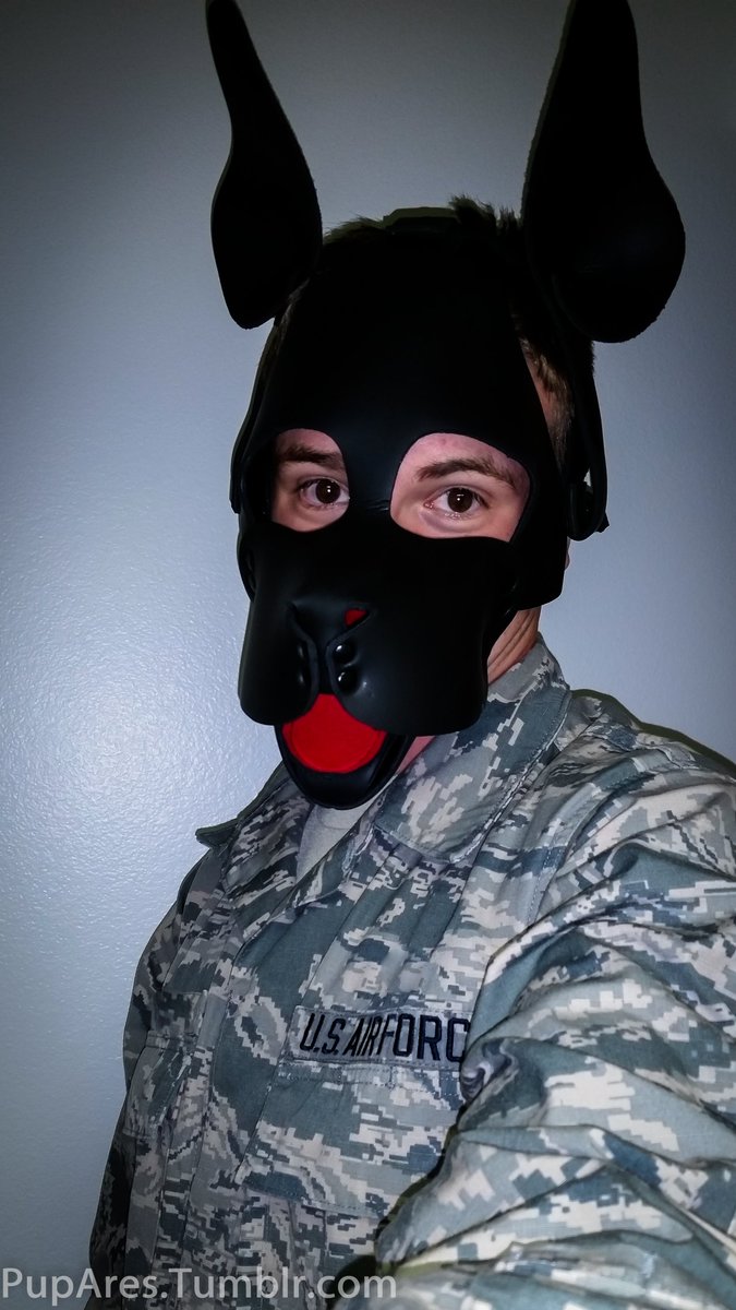 pupares's tweet photo. Throwback to around 2015, When I was a USAF HAZMAT Pup!!! https://t.co/h9spVU2DMu