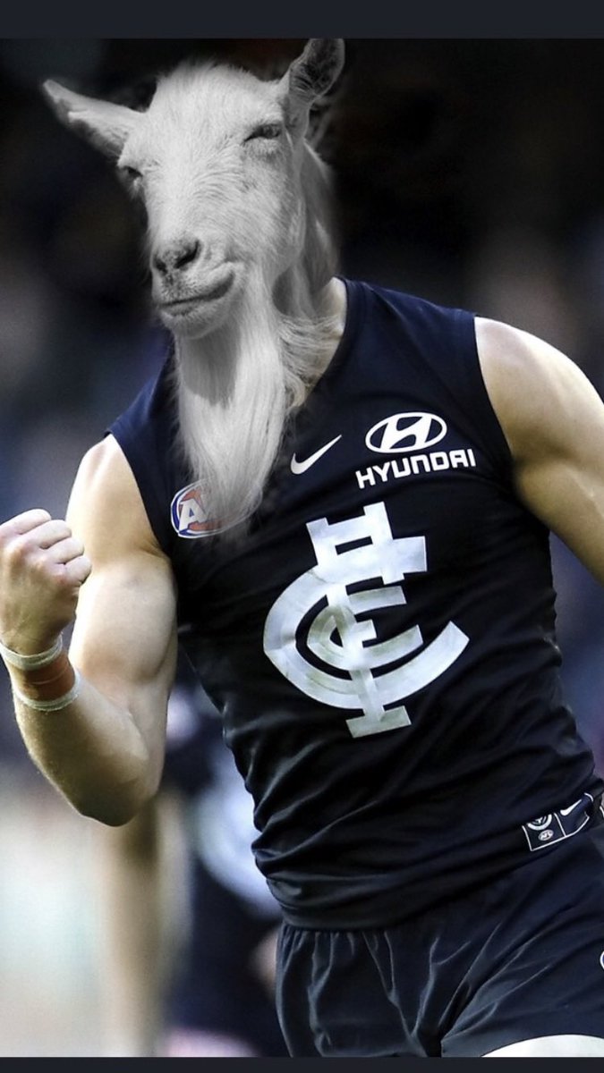 scottkeirl's tweet photo. Seems a nice day to hang this on Twitter @CarltonFC #Baggers https://t.co/vJj5ap9dit