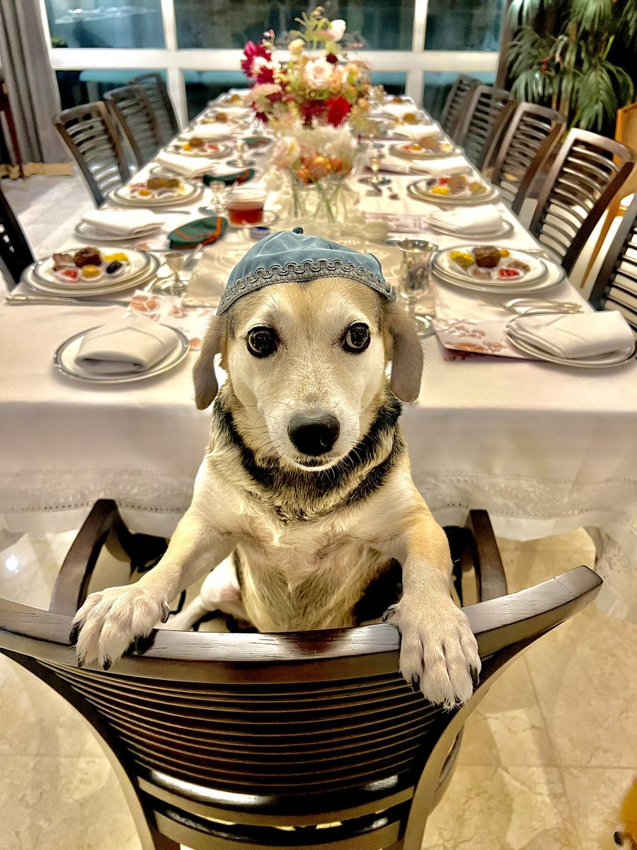 Hoy celebro roshashana, año nuevo judio. No entiendo mucho, solo se que es un banquete y pa eso siempre TOY.

Pd. Acabo de aprender que mi nombre en hebreo es Ashpa