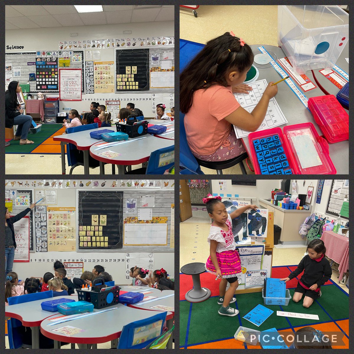 JurassicGaby's tweet photo. Instructional highlights of the week include engaging Daily 5 routines, small group support, math & reading centers, language rich environments, and lots and lots of engaging lessons! Thank you, Crusader teachers for teaching with ❤️ #ExcellentInstruction @KarinaQSalgado https://t.co/YExxT7xdhf