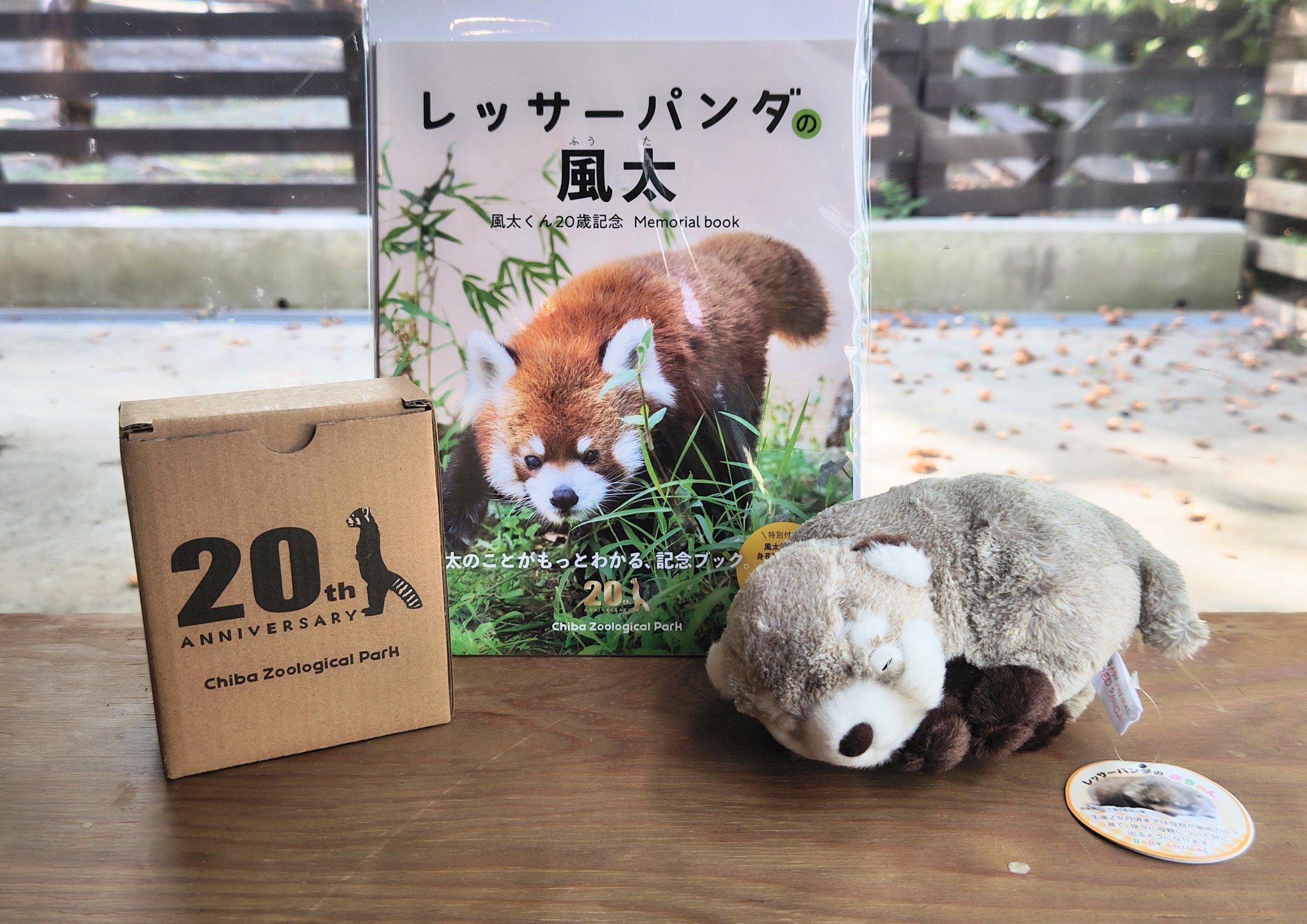 円山動物園オフィシャルショップ on X: 