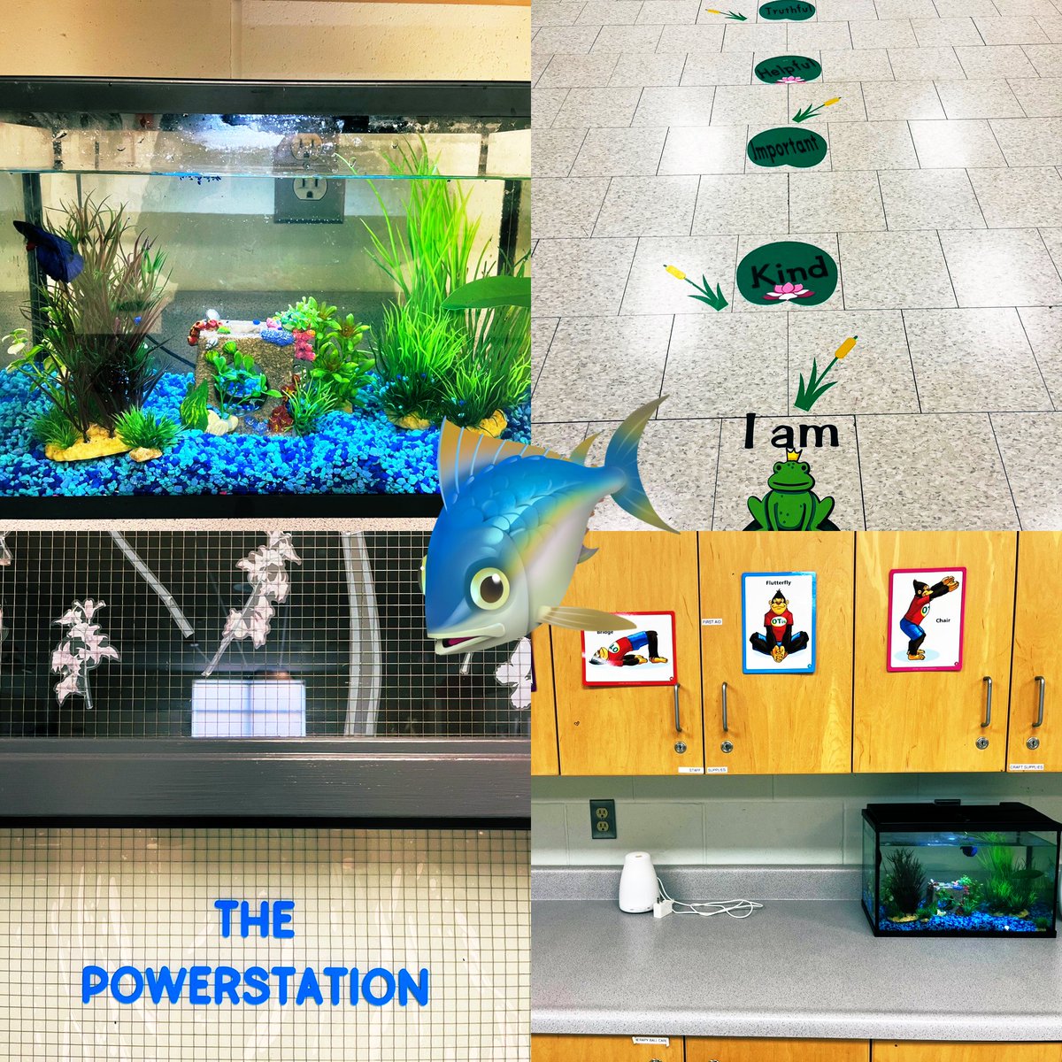 Senator Gibson (@senatorgibson1) on Twitter photo We have some new friends in our power station movement room!! 🐠🐟 <a href="/dsbn/">District School Board of Niagara</a> We have some new friends in our power station movement room!! 🐠🐟 <a href="/dsbn/">District School Board of Niagara</a>