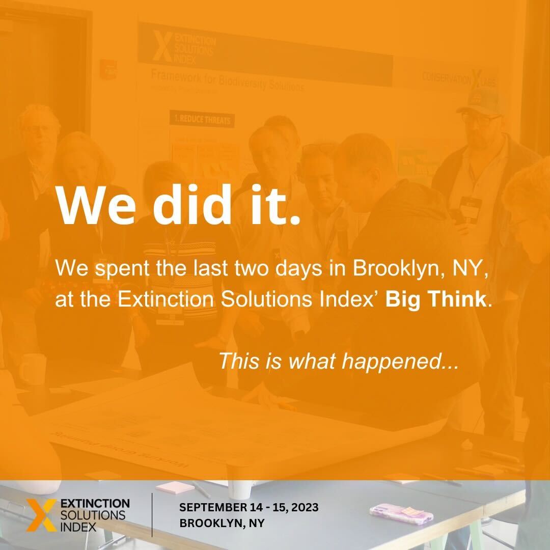 conservationx's tweet photo. We did it! 

Over the past two days, we've had the privilege of working collaboratively with some of the most brilliant minds in our field to explore innovative solutions to address the sixth mass extinction. 👇 https://t.co/EHPMMIRmN6