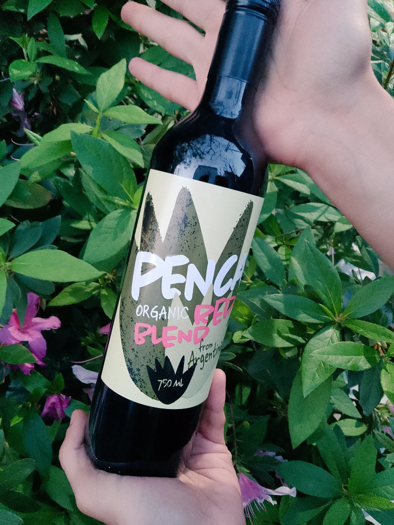 FestVDBA's tweet image. Hoy chinchin de apertura del Festival Intermacional de Videodanza en la DAC gracias a la hospitalidad y gentileza de @generodac, celebrando este cierre de ciclo en una edición final y muy emotiva. Además degustamos un malbec orgánico Penca🍷de Alpamanta cortesía de FulanosWine 💜