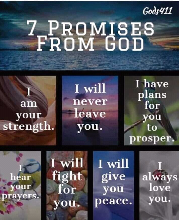PositivePrayers's tweet photo. @JoelOsteen 7 Promises to not forget.
Focus on the positive.  Be blessed. https://t.co/spe4QDyaKM