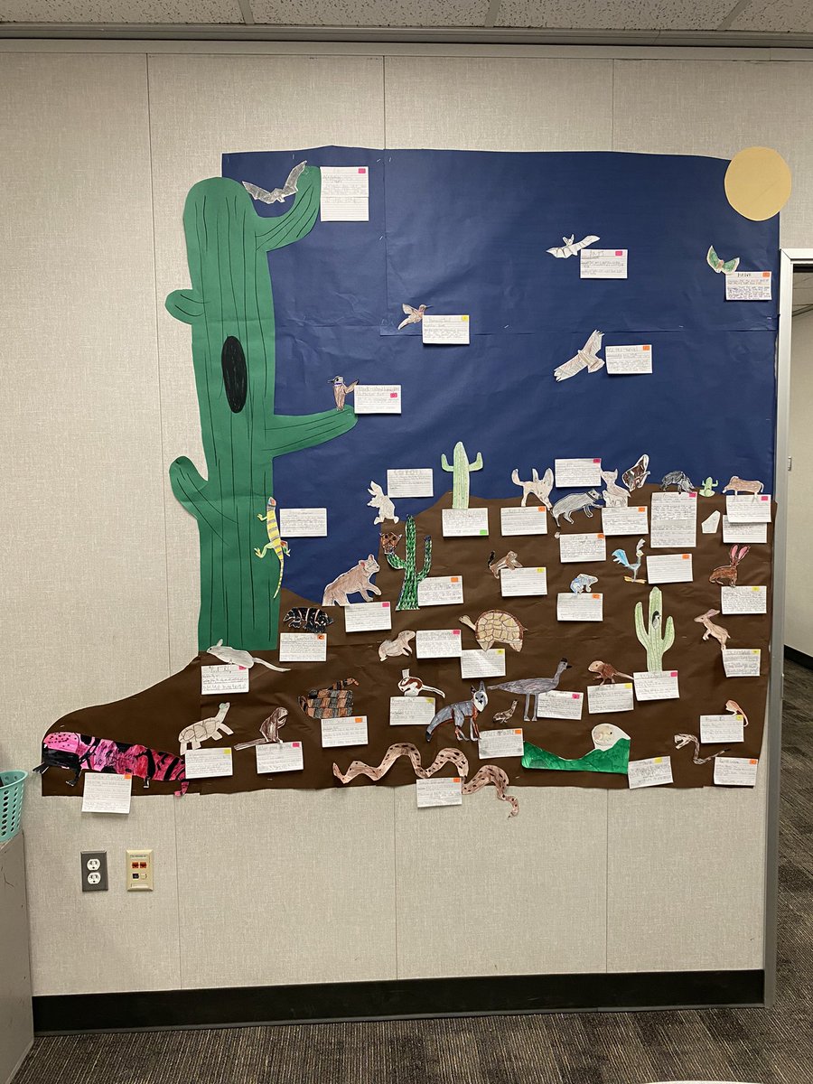 MrsZweifel5th tweet media