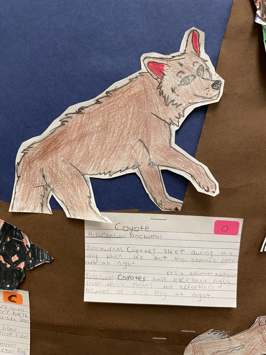 MrsZweifel5th tweet media