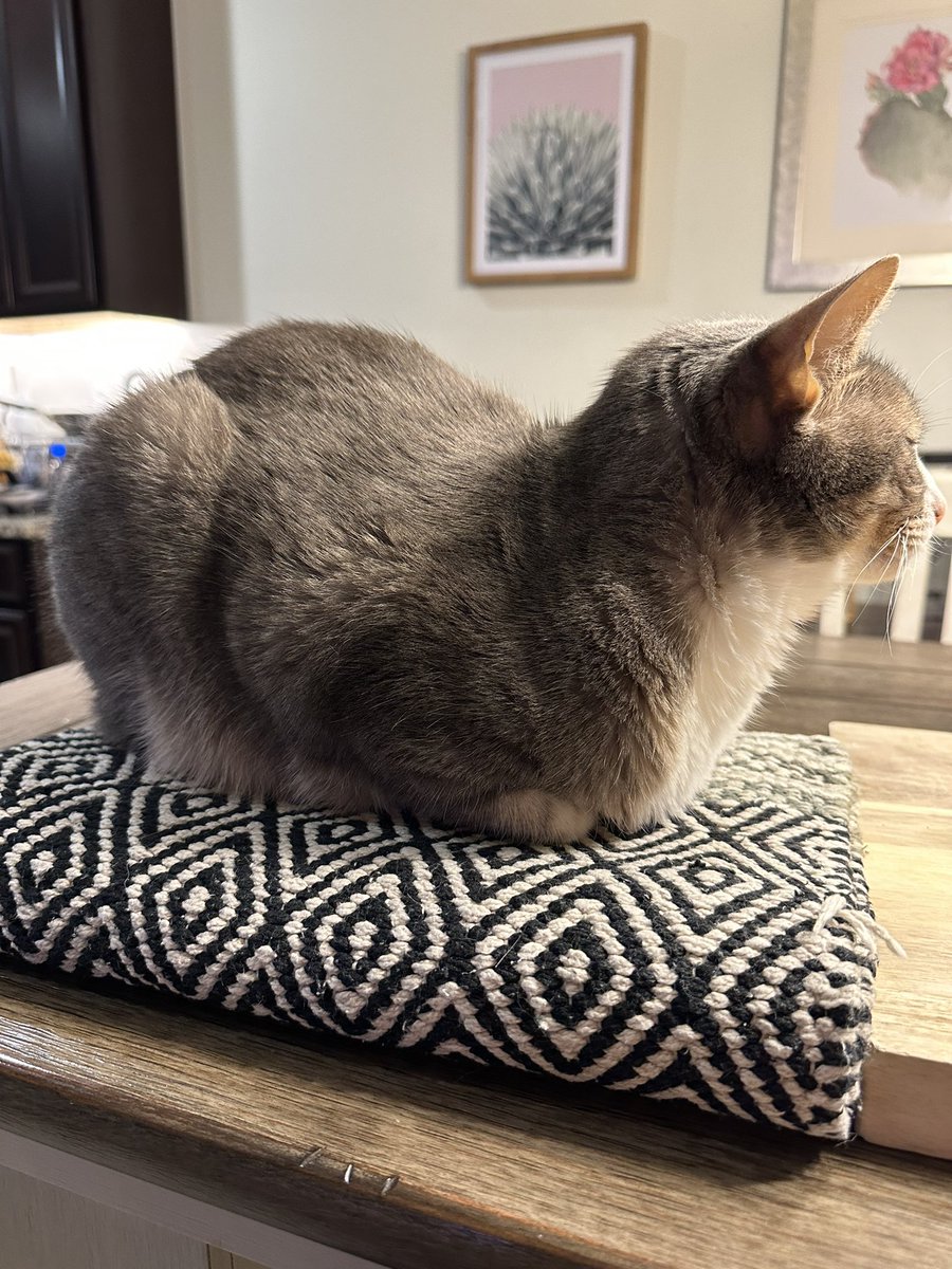 veilvhs's tweet photo. #loafin https://t.co/H39TGcOlek