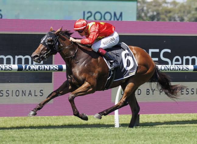 Our queen 👸 STEEL CITY ❤️💛 resumes today in the Listed Cap D’Antibes Stakes today at Flemington. 

She’s the only group winner in a field of 20 fillies and we expect a good solid 1st up performance and she looks a good 1x3 EW bet. 

We also have Camorra on the quick back up