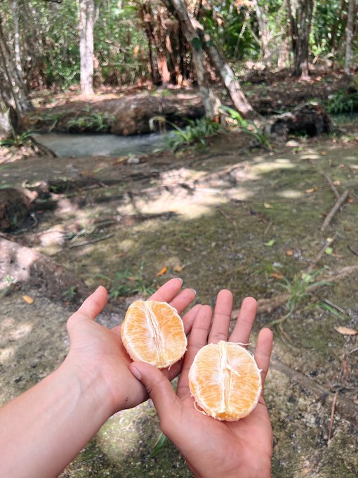 🇲🇽🇲🇽🇲🇽🇲🇽🇲🇽 https://t.co/FO07J8ZOc9