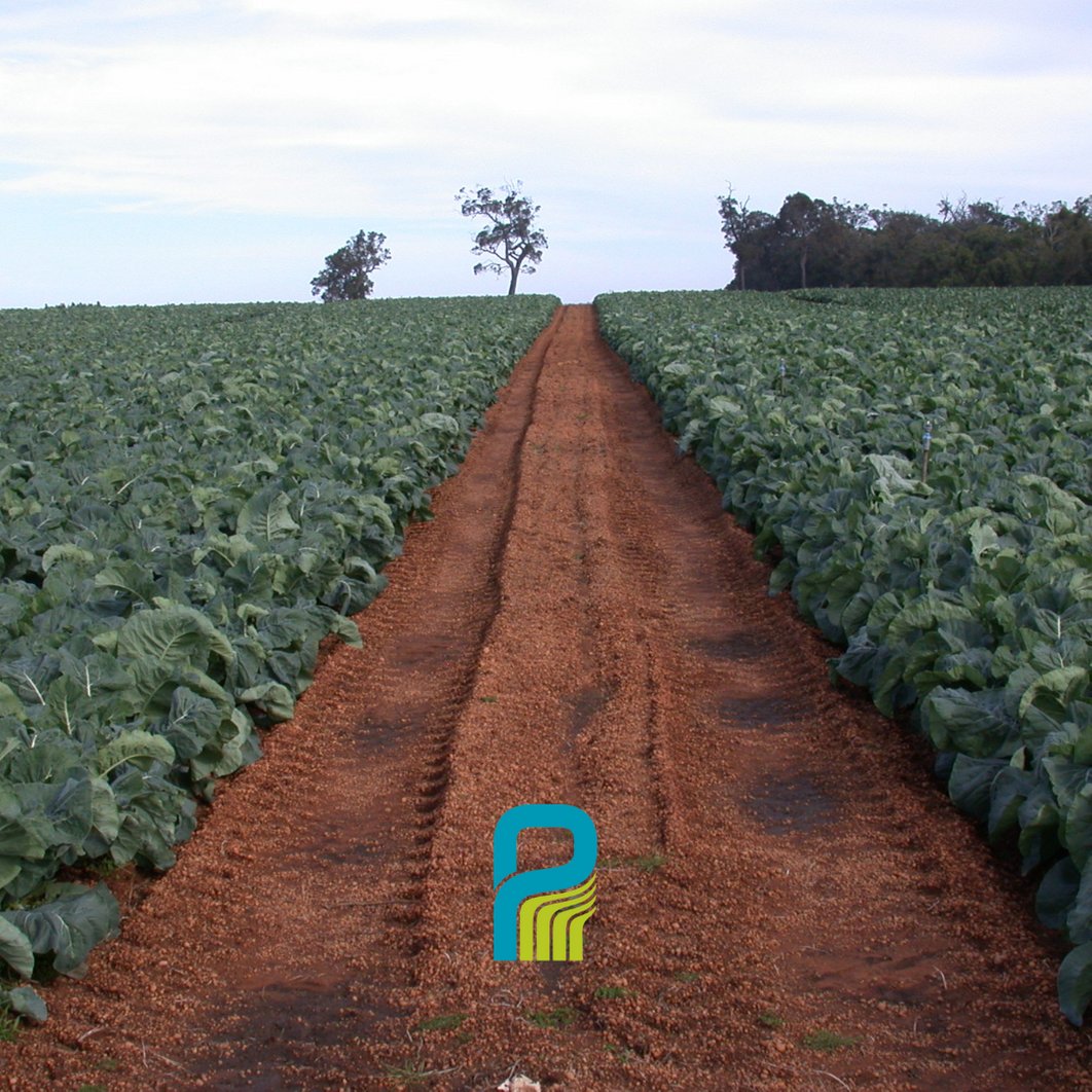 🌱📈 EXCITING OPPORTUNITY ALERT! 📈🌱
WA Hort growers🌿This is your LAST CHANCE to supercharge your business through the Building Horticulture Business Capacity Program🥬Register early to secure your spot🥦Contact Sophie Alexander📩or visit buildingwahorticulture.com.au