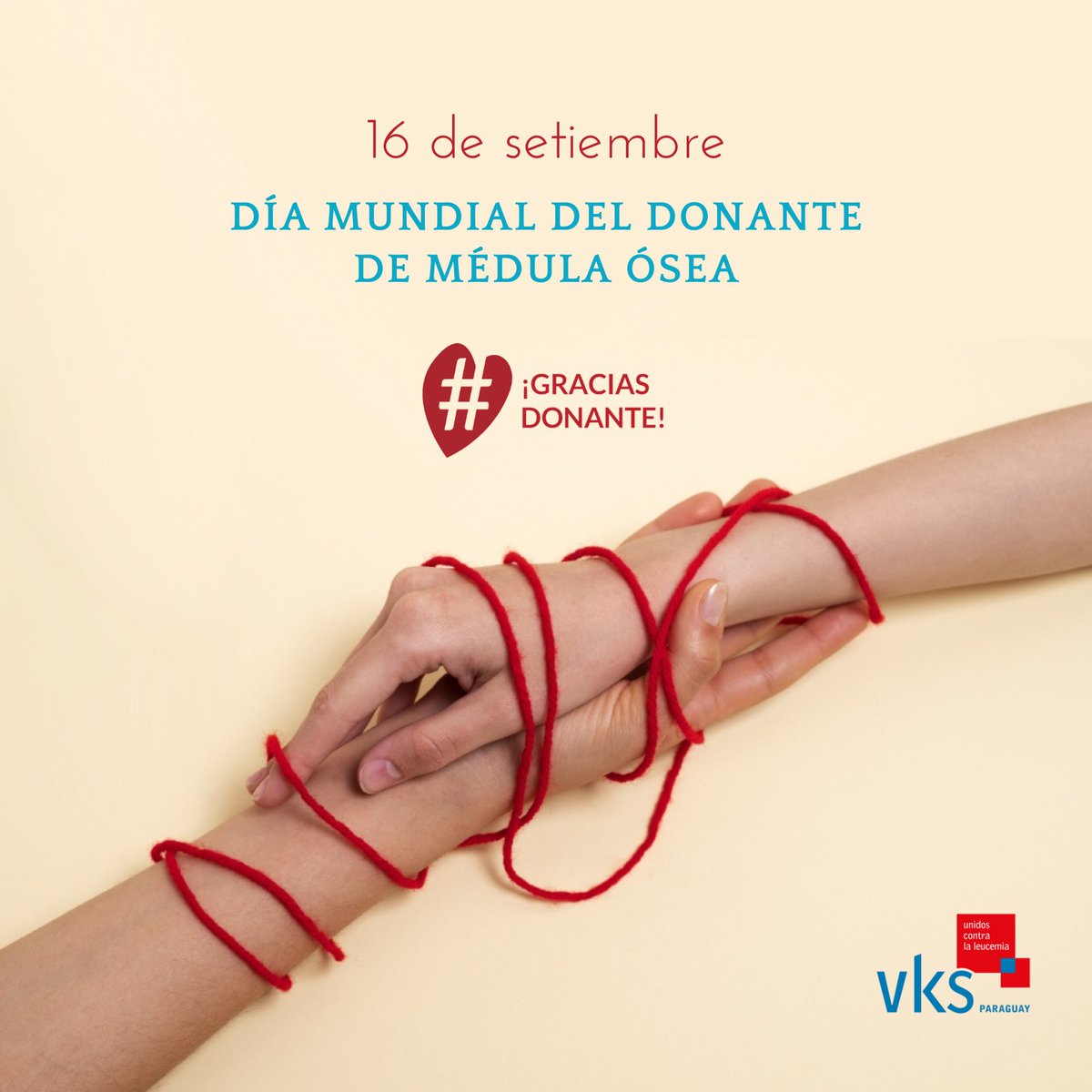 🔹A todas las personas que han decidido convertirse en donantes voluntarios de médula les decimos #graciasdonante !
Ya superamos los 1600 donantes registrados en PY, y más de 41 millones alrededor del mundo🙌 sigamos apoyando el noble acto de donar vida en vida

#WMDD23