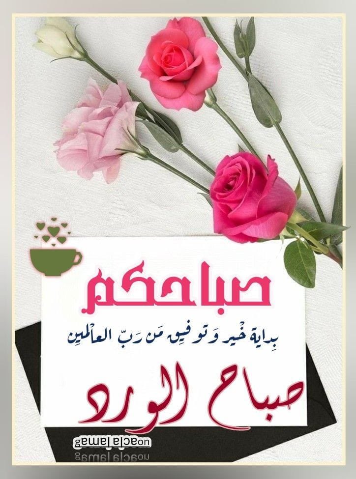@rashid02612072 صباح يفوح منه عبير الأمل و نسمات الخير ..🌺🍃