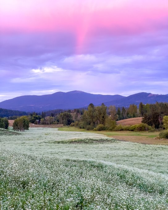 The evening backyard view. https://t.co/dL5fCfYbr6<a href="/tag/hiring"class="tags"><span>#hiring</span></a><a href="/tag/remotework"class="tags"><span>#remotework</span></a>