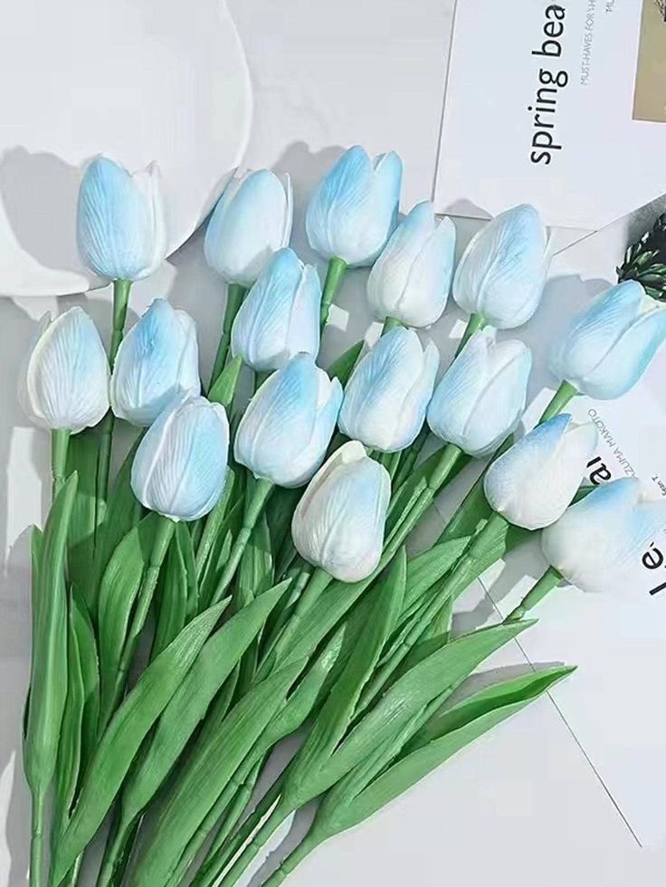 🩵رحيق الياسمين🩵 tweet media