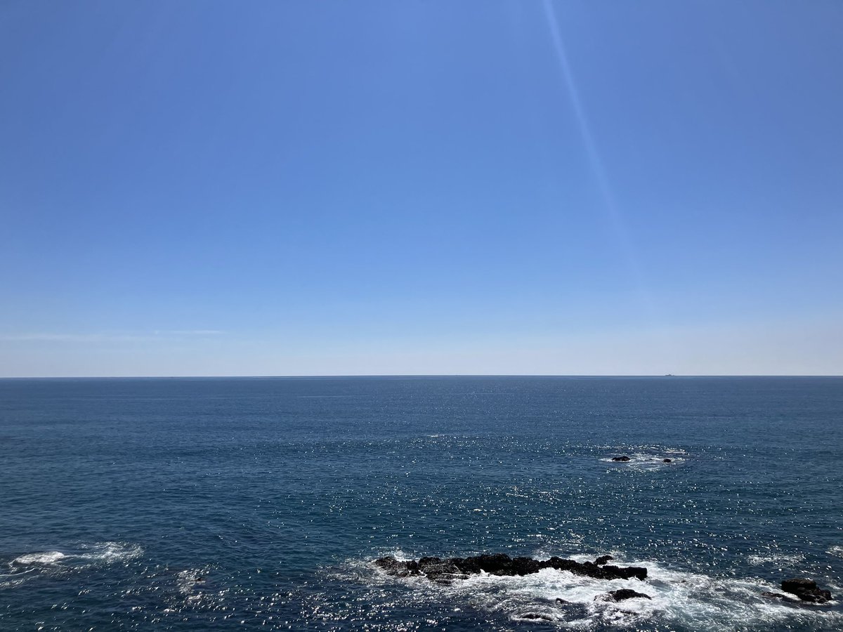 shobons's tweet photo. 今日は大快晴🌞
帯状疱疹は暑い所にいた方が痛みが治るという事で、必死にチャリ漕いで、高知の観光名所の1つ、桂浜にきてみたよ🚴

一面、海がきれい🌊
久々に地球がまるい事を実感✨ https://t.co/Ed0LohySh5