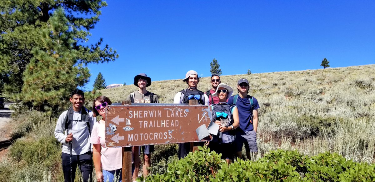 Diaconescu Group tweet media