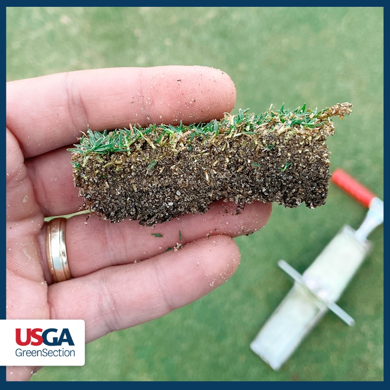USGAGrnSection's tweet photo. Some courses are trying to get by with less aeration to avoid disrupting their busy golf schedule, but the downsides of deferred maintenance always catch up in the end.