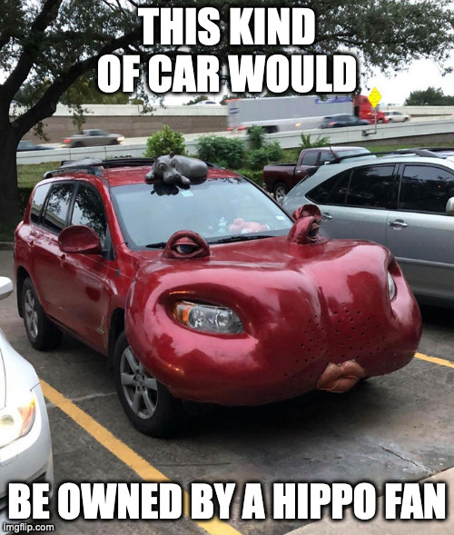 This car is owned by a true hippo enthusiast! 🦛🚗✌️ #HippoLove #UniqueRide