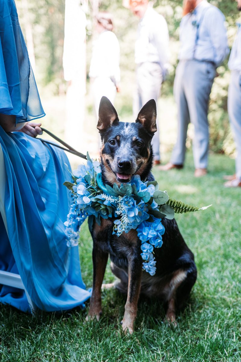 Just some photos from the wedding thank you <a href="/ZahnyMedia/">ZahnyMedia™</a> please hit him up for photography!