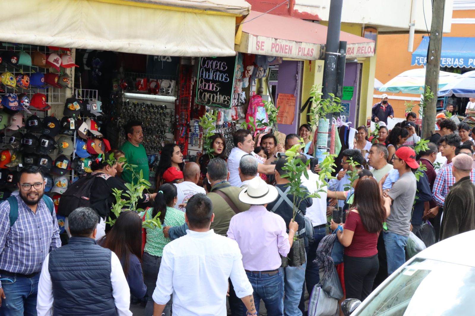 Imagen