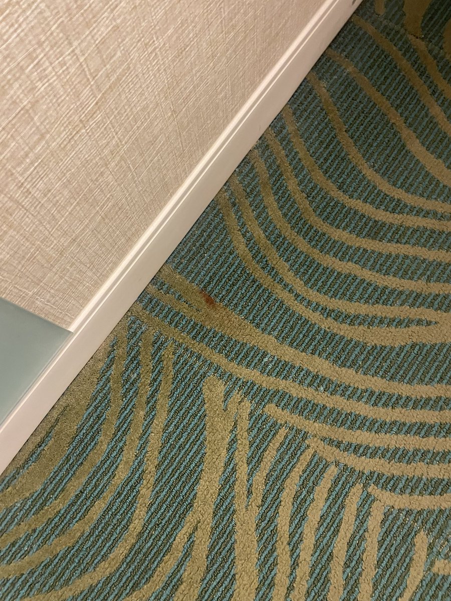 Eduard Checo tweet media