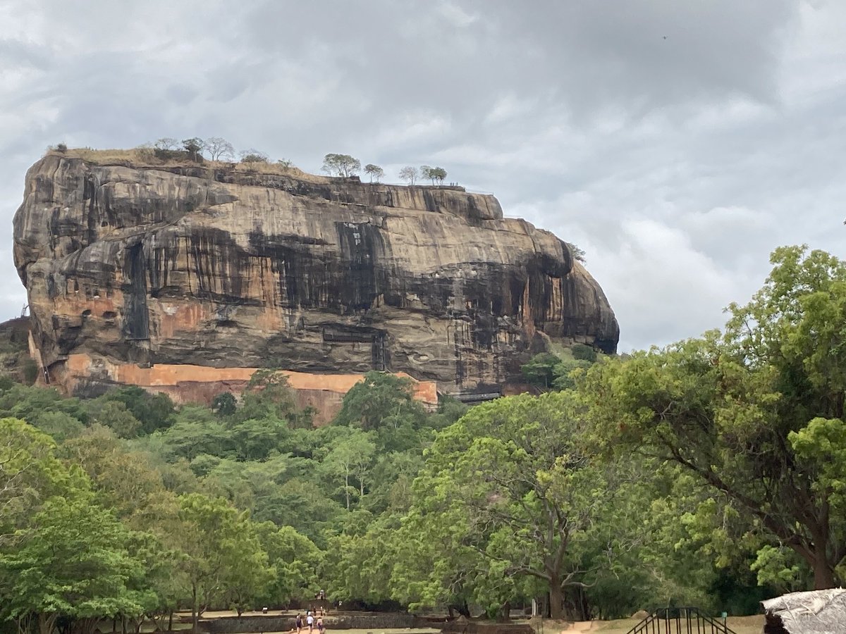 David Phenis 💙 tweet media