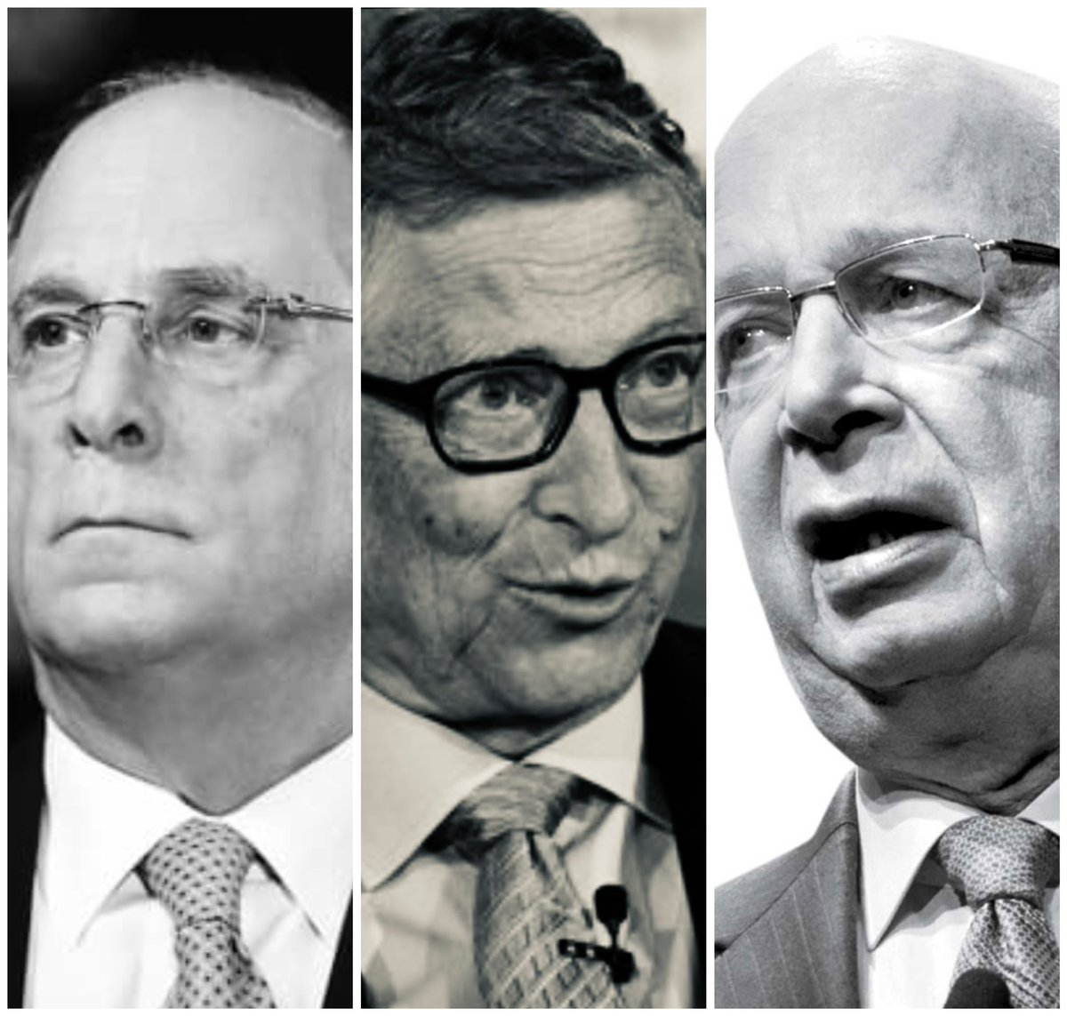 Liz Churchill tweet media