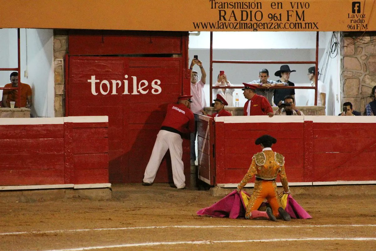 EntreAficiona2's tweet photo. #Zacatecas

🔴Novillada

César Ruíz / Silenciosa vuelta al ruedo. 

El novillo Palomo de 454kg demostró un poco de debilidad en el tercer tercio. 

#FENAZA2023 #EntreAficionados #Mexico #toros #tauromaquia #gitano #cesarruiz https://t.co/SKzuiBBSNn