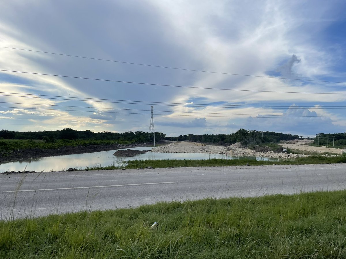 El agua reclamando su lugar en el tramo 6 del tren que no es maya. Una zona inundable de selva baja arrasada por la megaobra que promete gigantismo… ¿para quién? <a href="/MXiinbal/">Múuch' Xíinbal</a> <a href="/SelvameMX/">SELVAME</a> <a href="/rontribunal/">International Rights of Nature Tribunal</a>