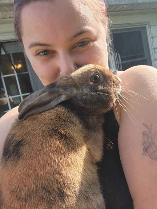 Anyone who knows me knows my animals are everything to me. Sadly, last night I came home to my lovely