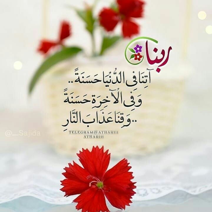 Sadia1446's tweet photo. 🌿🌹اَلسَلامُ عَلَيْكُم وَرَحْمَةُ اَللهِ وَبَرَكاتُهُ
🌿🌹صبح بخیر.            🌹🌿 https://t.co/ffDIoGi554