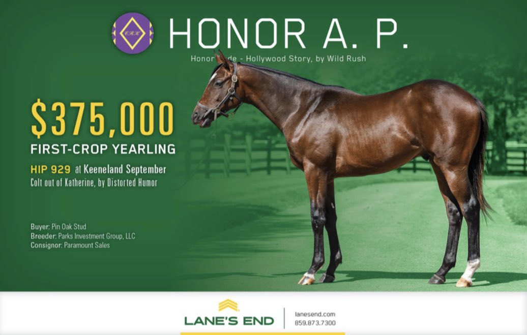 theTDN's tweet photo. $375,000 for a yearling from the first crop of @LanesEndFarms’ HONOR A. P. at #KeeSept 👏🏼 Consigned by Paramount Sales. https://t.co/C4JMkXqYN2
