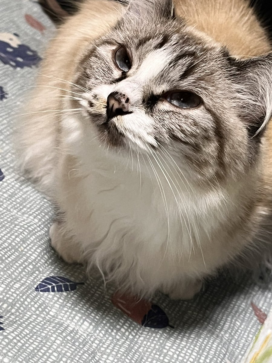 basokiya2's tweet photo. @apricot_candy_a f外ですが…( ´･ω･)⊃旦 ｽｯ https://t.co/5HvzN35DEC