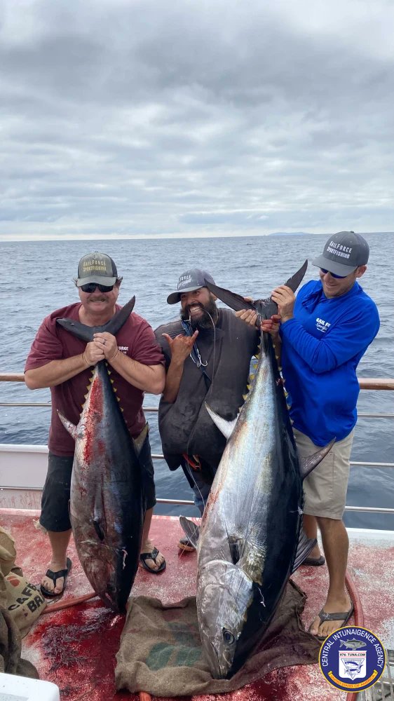 976tuna's tweet photo. Gail Force Fun Full Day Trip! https://t.co/9Y86p9p8tb #gailforce #lawaterfrontsportfishing #fish #fishing #fishingtrip #oceanfishing #socalfishing #fishingtrip #goodtimes #livebait #saltlife #saltwater #tasty #thetugisthedrug https://t.co/shkyg8DrP2