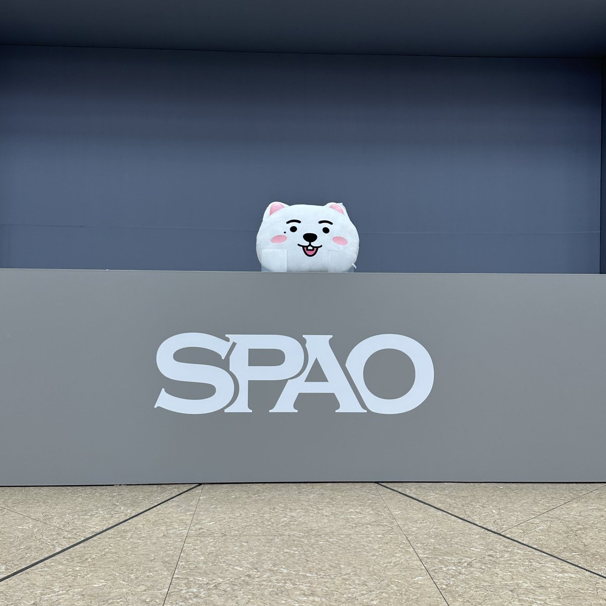 SpaoKr's tweet photo. 녤모예드가 먼저 도착했어요!

#SPAO #스파오 
#KANGDANIEL #강다니엘
#NIELMOYED #녤모예드 https://t.co/JAyQBaxXfl