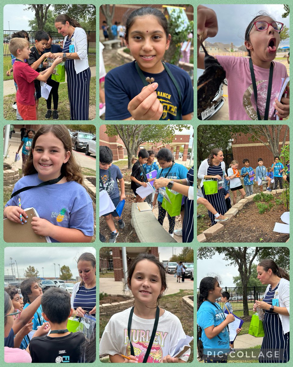 Mrs.Bone's Class tweet media