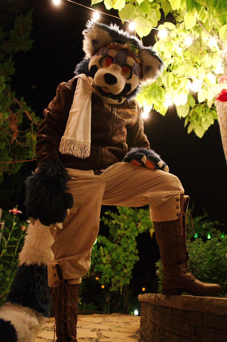 Rianewood McDoggo ✨🎃 tweet media