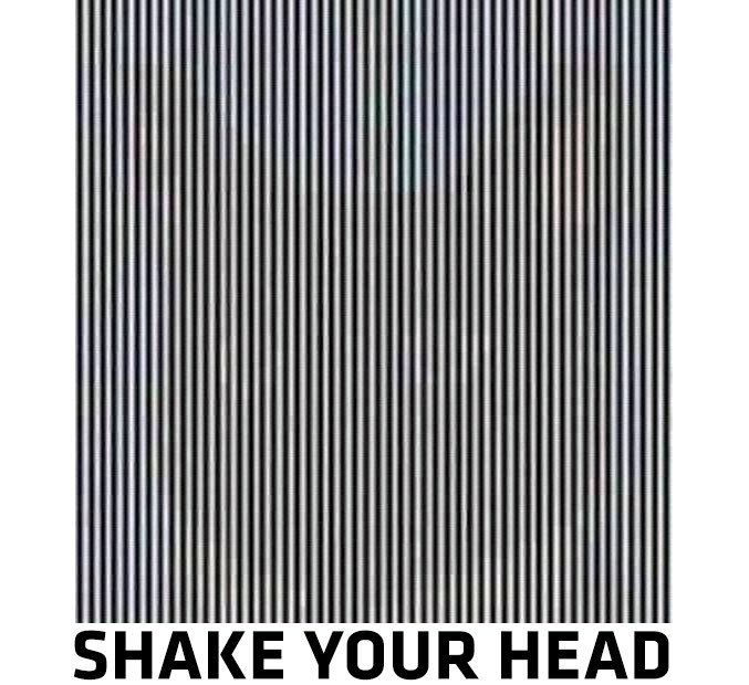 What do you see?