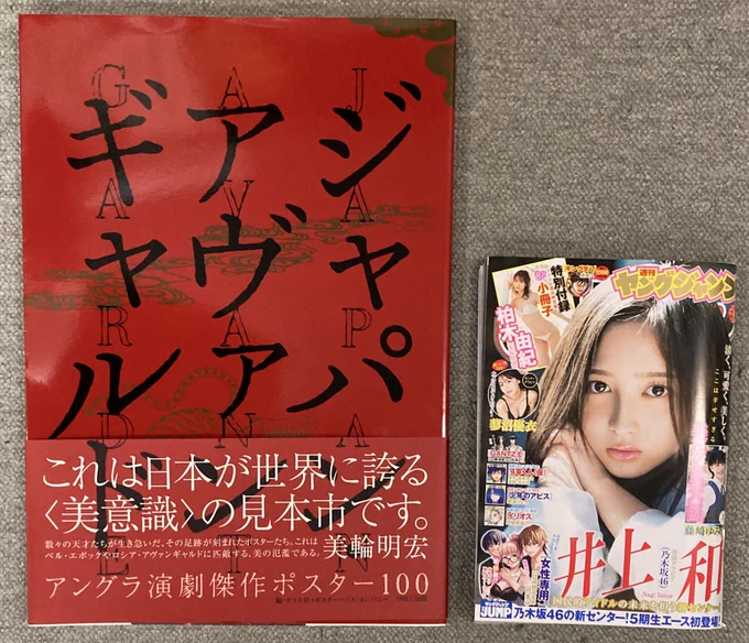 ビリケンギャラリーで買いました。『ジャパンアヴァンギャルド』劇団天井桟敷ほか、アングラ演劇傑作ポスター100。この大きさで全ページ4色カラーでこのお値段は安い。 