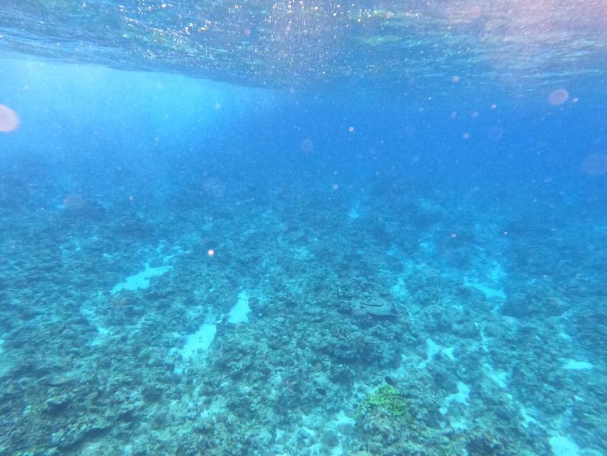 victoriatulad's tweet photo. JUST IN: AFP Western Command suspects China of harvesting corals in Rozul Reef in the West Philippine Sea. 

Admiral Alberto Carlos: “Wala nang natira in the area.” 

📸 AFP WesCom 
@ABSCBNNews https://t.co/LzdNHpAK8f