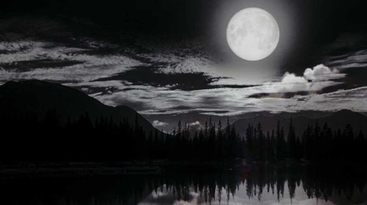 AHuntingMoon's tweet image. ᅠㅤ"ᅠㅤ𝚃𝚑𝚎 𝚜𝚞𝚗 𝚐𝚘𝚎𝚜 𝚍𝚘𝚠𝚗 𝚠𝚒𝚝𝚑 𝚊𝚕𝚕 𝚖𝚢 𝚏𝚊𝚞𝚕𝚝𝚜 𝚂𝚘 𝚠𝚑𝚎𝚛𝚎'𝚜 𝚢𝚘𝚞𝚛 𝚏𝚎𝚎𝚕𝚒𝚗𝚐 𝚊𝚗𝚍 𝚠𝚑𝚎𝚛𝚎'𝚜 𝚢𝚘𝚞𝚛 𝚕𝚒𝚏𝚎ᅠㅤ"

ᅠㅤᅠㅤᅠㅤ   》P̶r̶i̶n̶c̶e̶

&amp;gt; Written by Ace-Mun/#VicariousAce
&amp;gt; #OCRP #MVRP

ᅠㅤᅠㅤᅠㅤ   &amp;gt; ↺ &amp;amp; ♡