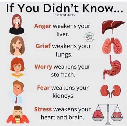 OrganicLiveFood's tweet image. 👇