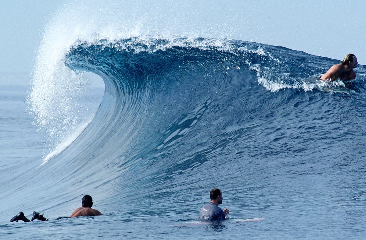 ghostsurfer101's tweet image. Following everyone on the #Hpop81 train. Degen to the core🇦🇺👻🌊