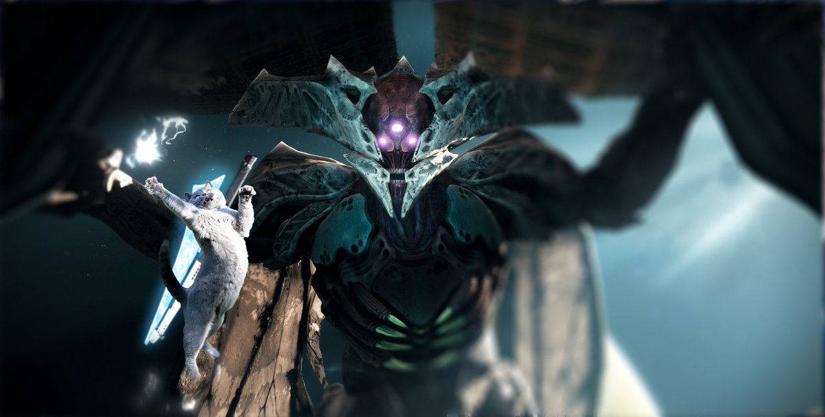 AquazDZN's tweet photo. Get out of the totems! 😂 https://t.co/GZ2jJVdOLg