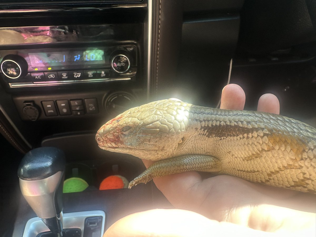 Tupperwave tweet media